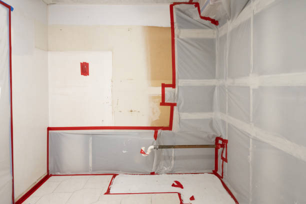 Best Air Quality Testing for Mold Spores  in Philippi, WV